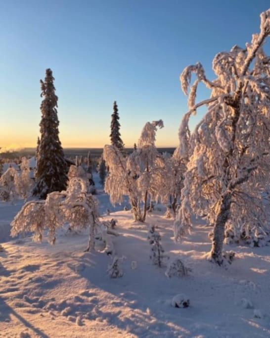 Seitapolku 12 Villa Saariselkä Exteriör bild